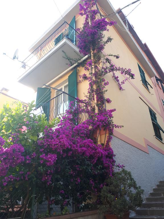Ferienwohnung Da Rita San Terenzo Exterior foto